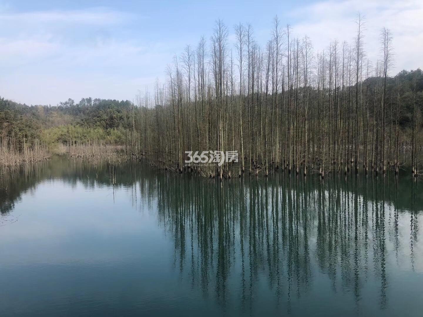 骊珑湖景（2020.02）