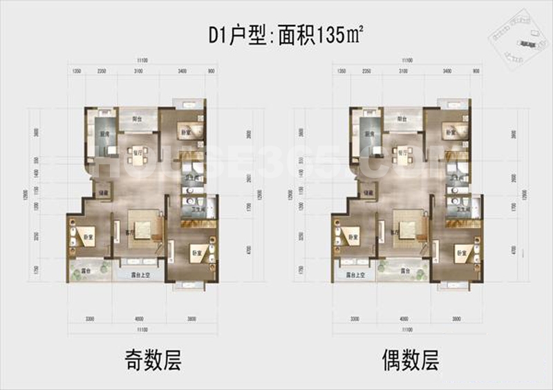 大家多立方D1户型