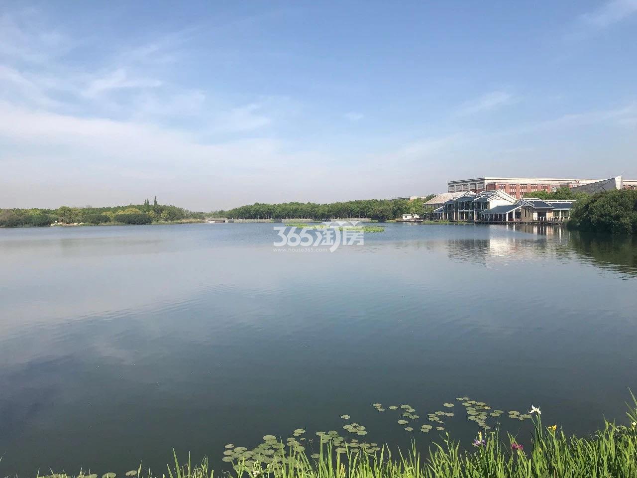 东湖实景图