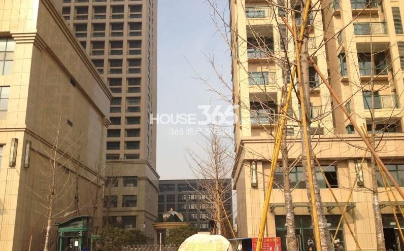红景凯丽晶座项目现场实景图