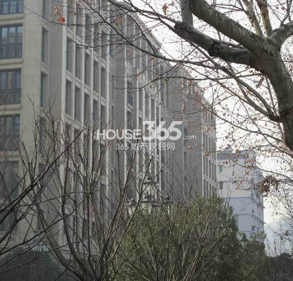 2013年1月底赛丽绿城丽园项目实景图