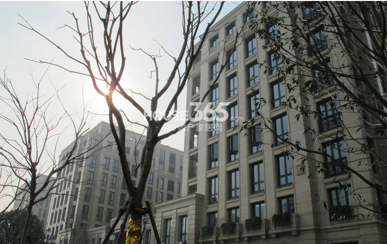 2013年1月底赛丽绿城丽园项目实景图