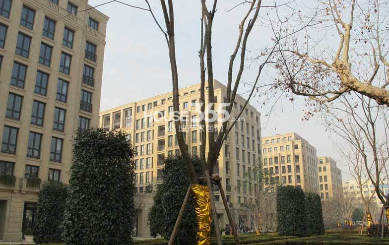 2013年1月底赛丽绿城丽园项目实景图