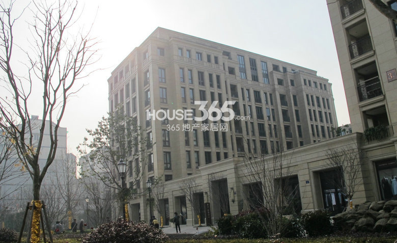 2013年1月底赛丽绿城丽园项目实景图