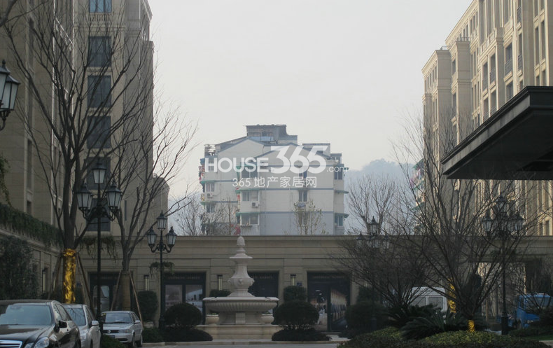 2013年1月底赛丽绿城丽园项目实景图