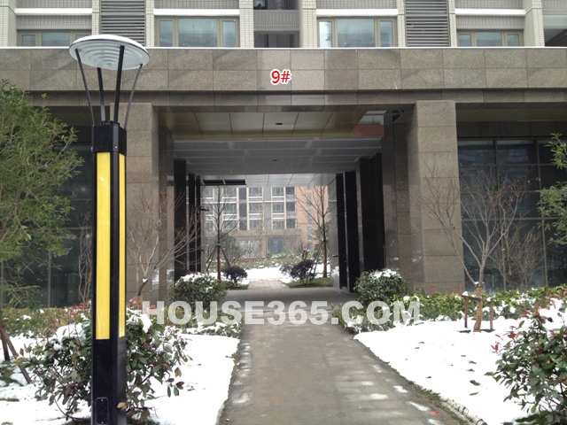 2013年1月上旬嘉里桦枫居实景图-9号楼