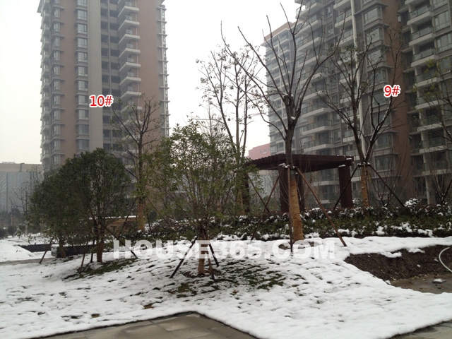 2013年1月上旬嘉里桦枫居实景图-9、10号楼南面景观