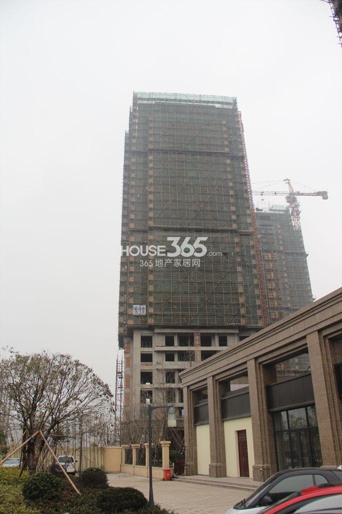 荷塘月色2013.02实景图3