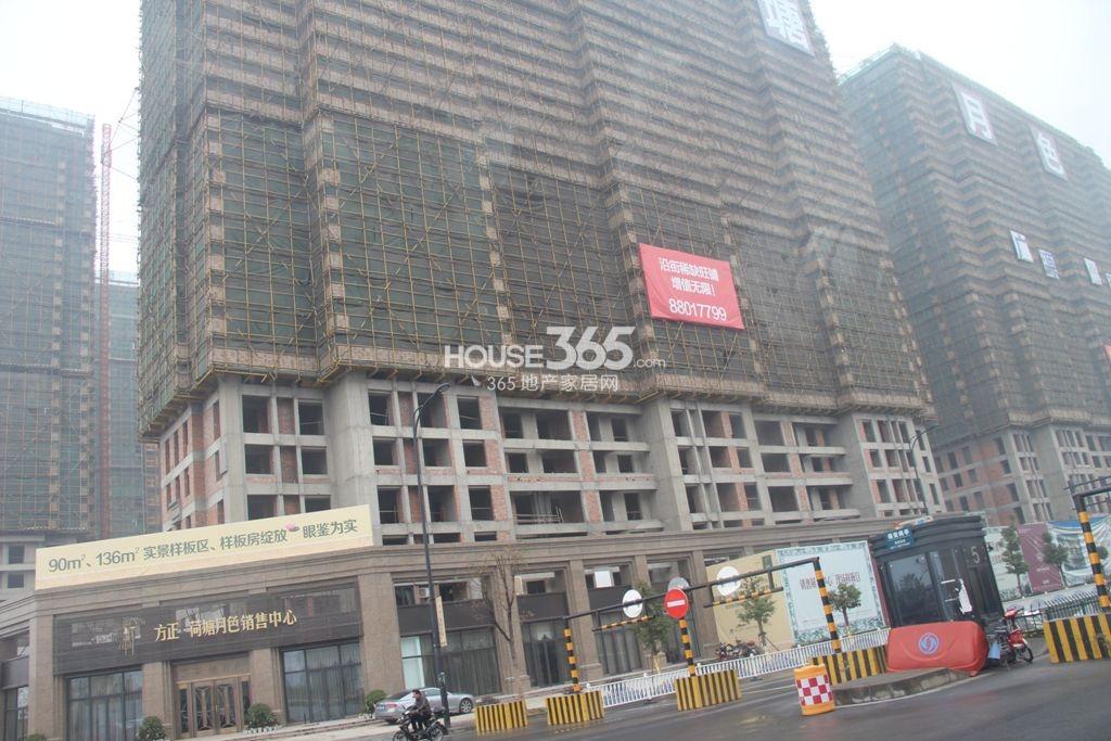荷塘月色2013.02实景图2