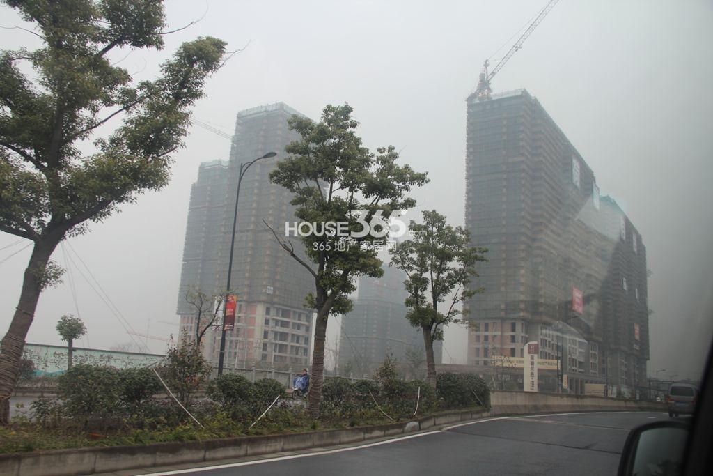 荷塘月色2013.02实景图1