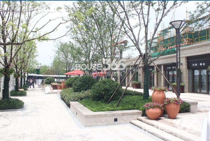 万科紫台沿街商铺实景图