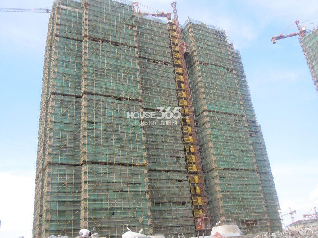 荷塘月色8.14实景图