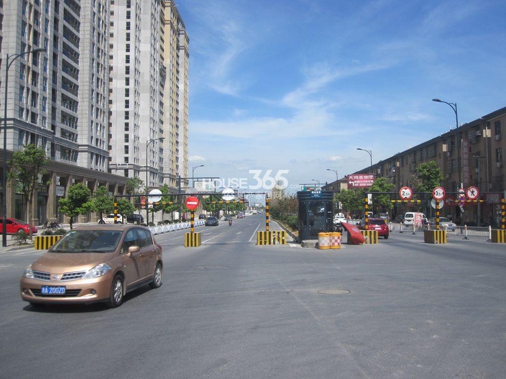 荷塘月色8.14实景图