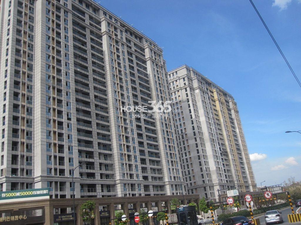 荷塘月色8.14实景图
