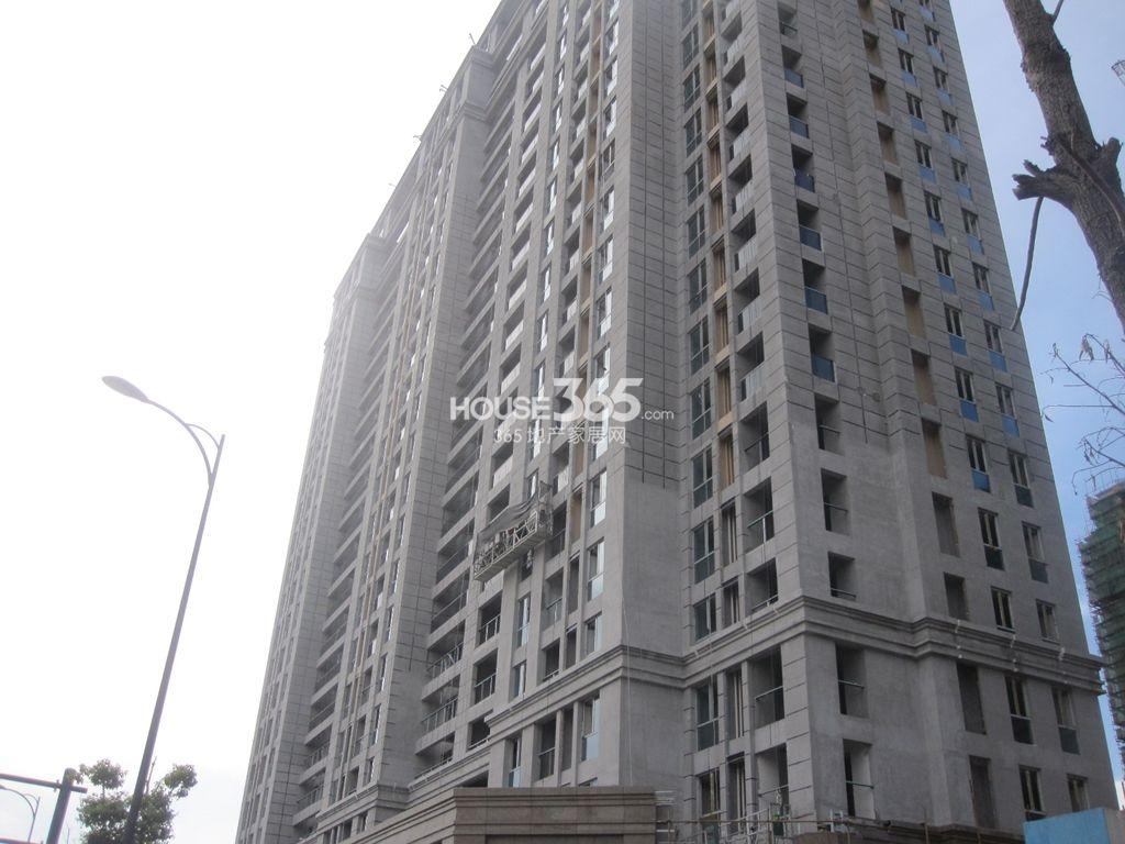 荷塘月色8.14实景图