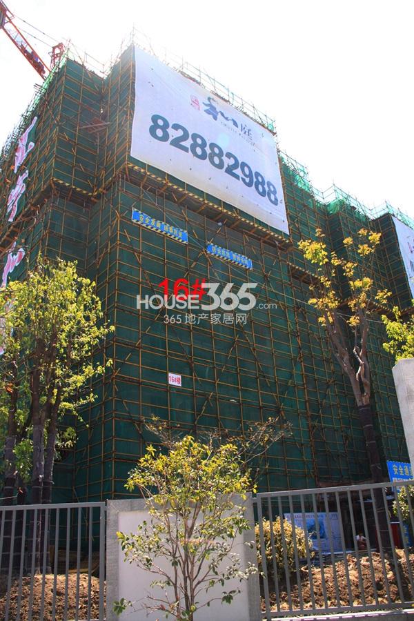 汇宇和庭16号楼实景图 2013.8摄