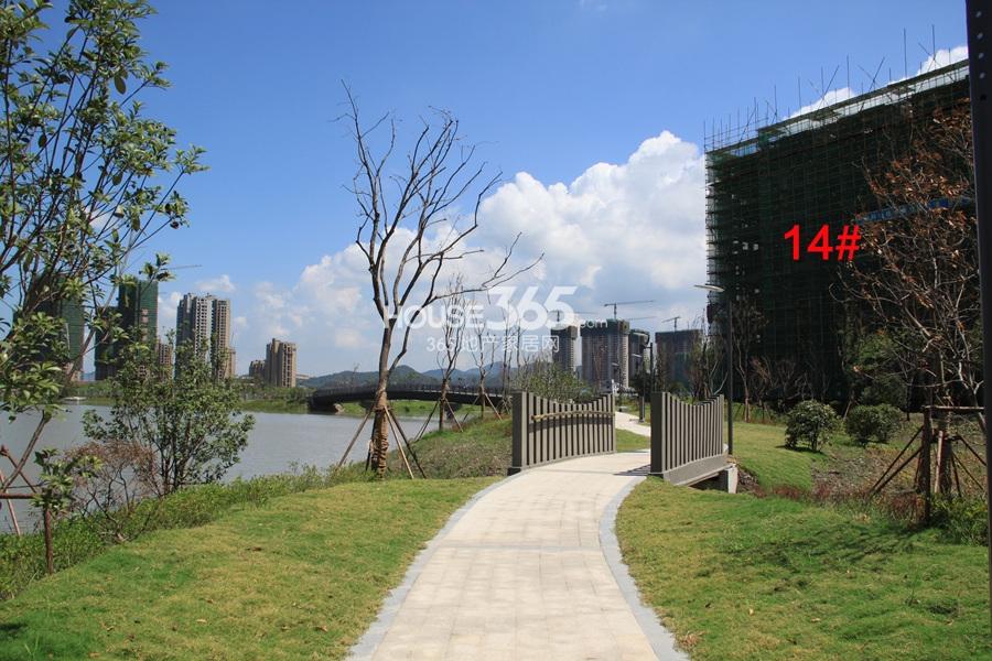 汇宇和庭14号楼实景图 2013.8摄