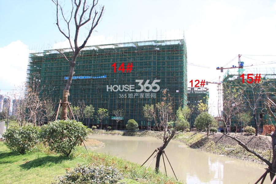 汇宇和庭12、14、15号楼实景图 2013.8摄
