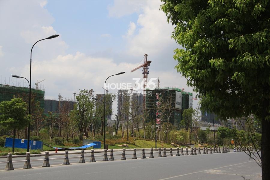 汇宇和庭项目实景图 2013.8摄