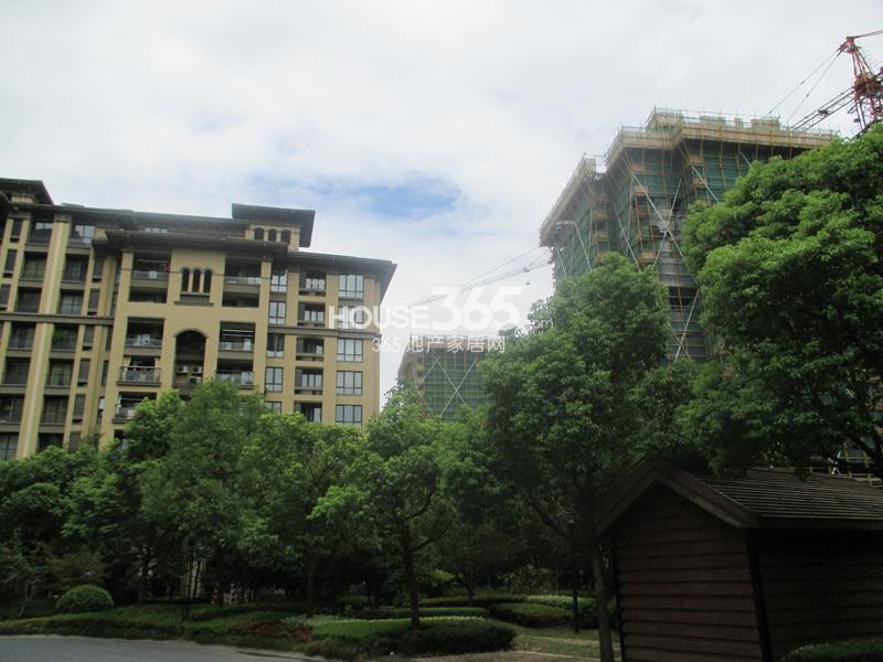 翡翠城西泠苑工程进度（2013.8）