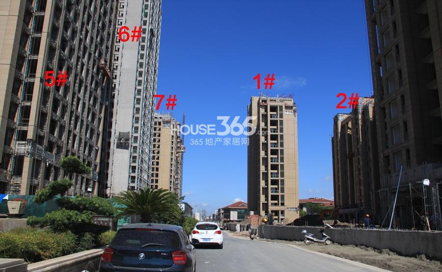 绿都四季华庭1、2、5、6、7号楼实景图 2013.8摄