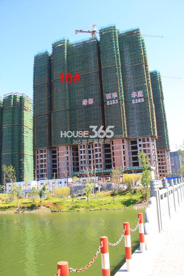 绿都四季华庭16号楼实景图 2013.8摄 
