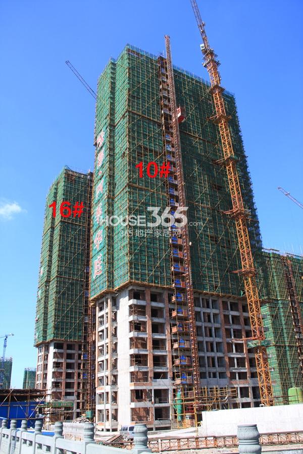 绿都四季华庭10、16号楼实景图 2013.8摄 