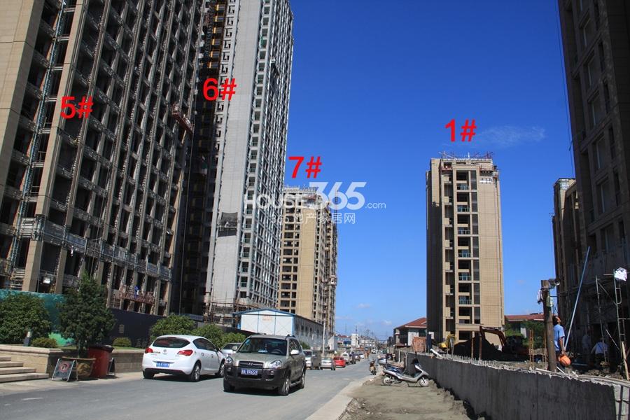 绿都四季华庭1、5、6、7号楼实景图 2013.8摄 