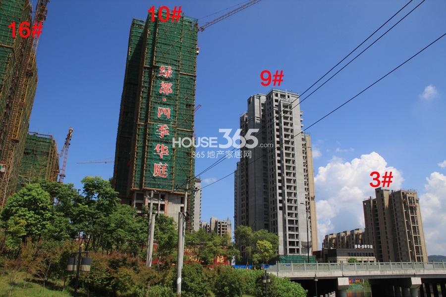 绿都四季华庭3、9、10、16号楼实景图 2013.8摄