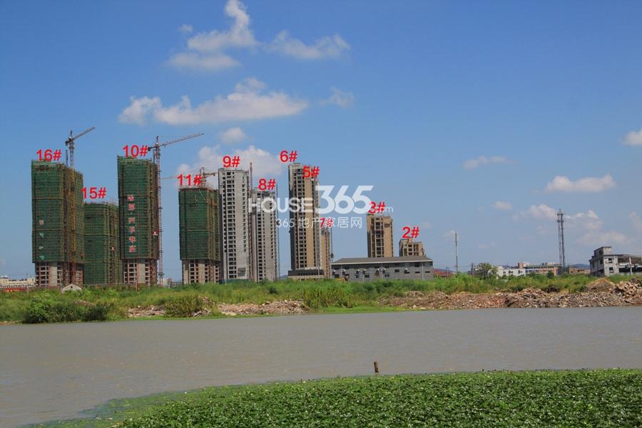 绿都四季华庭2、3、5—10、15、16号楼实景图 2013.8摄
