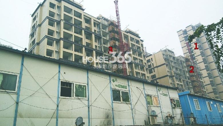 2013年9月底铂金名筑实景图--1、2、3号楼