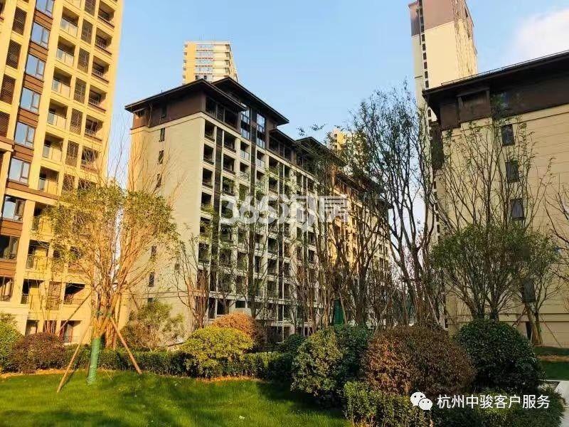 中骏柏景湾实景图（2019.11）