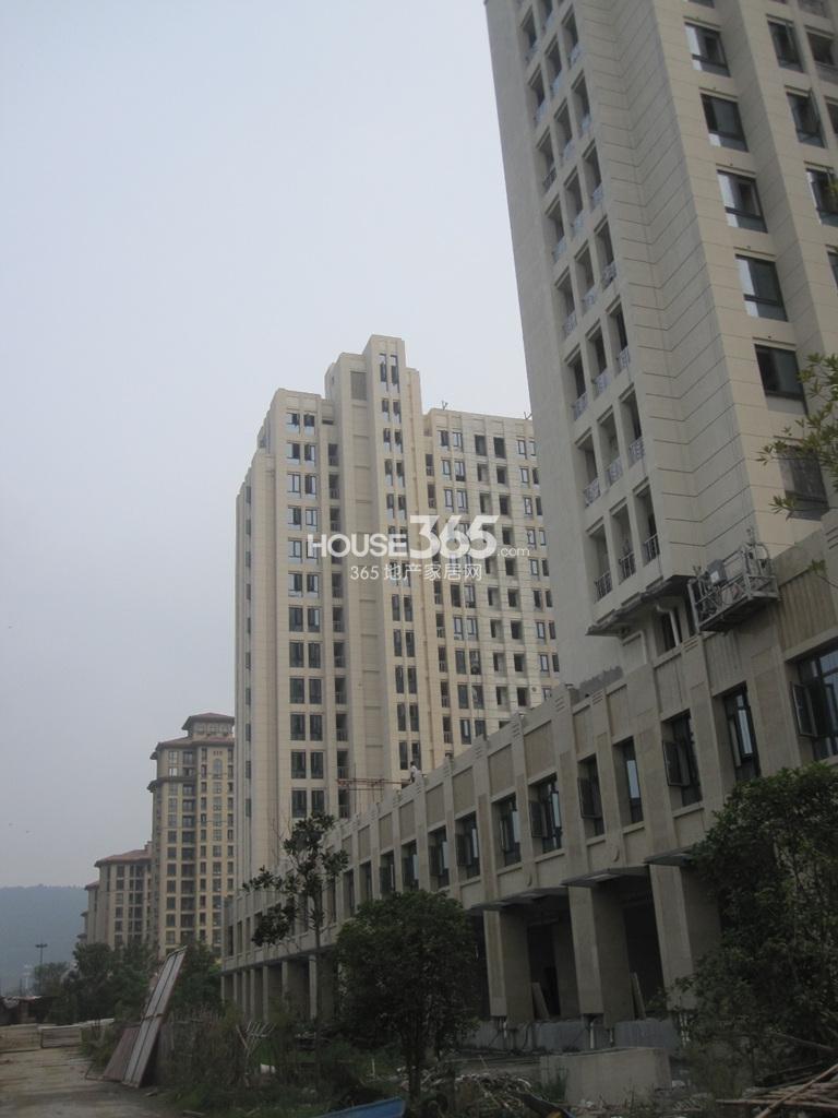 金都夏宫桃院实景图（2013.10）