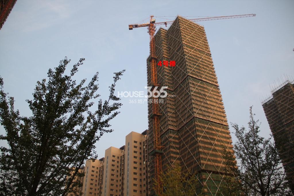 广宇鼎悦府2号楼（2013.10）