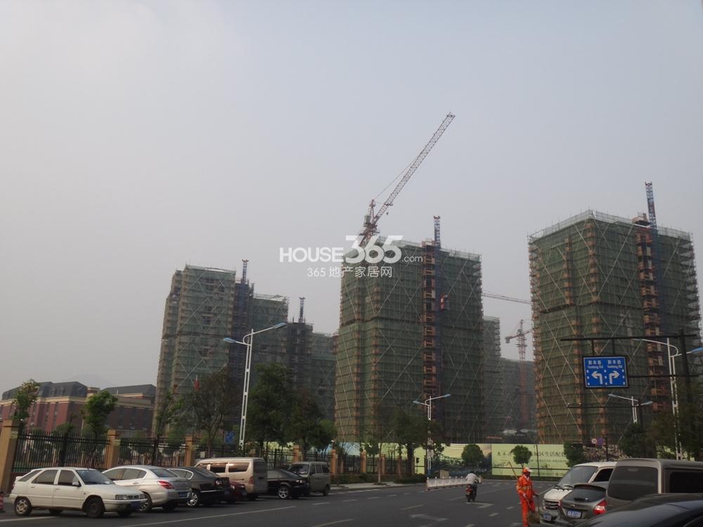 广宇东承府项目实景图 2013.10摄 