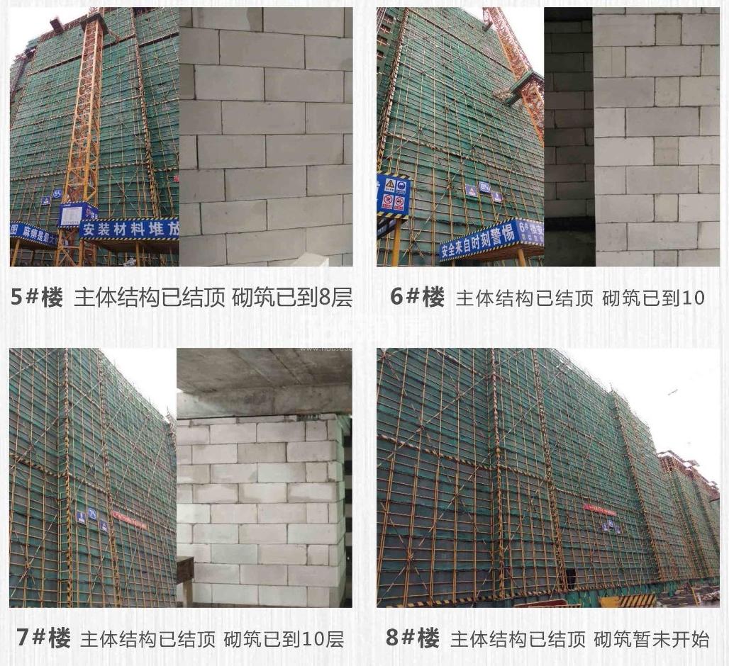 金地玖峯汇5-8#工程进展（2019.01）