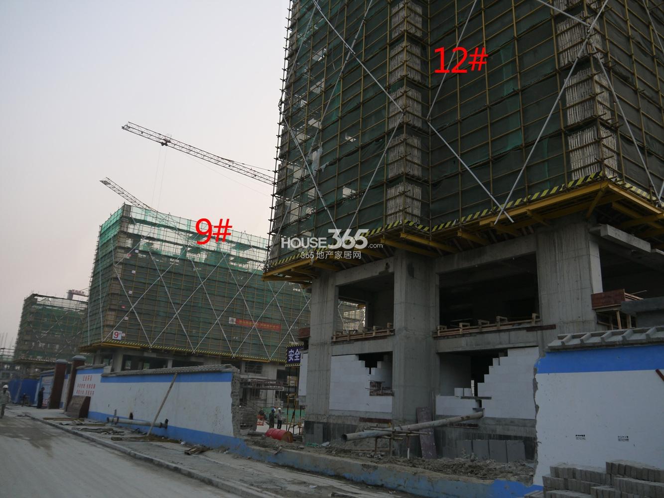 万科紫台9、12号楼实景图 2013.11.7摄