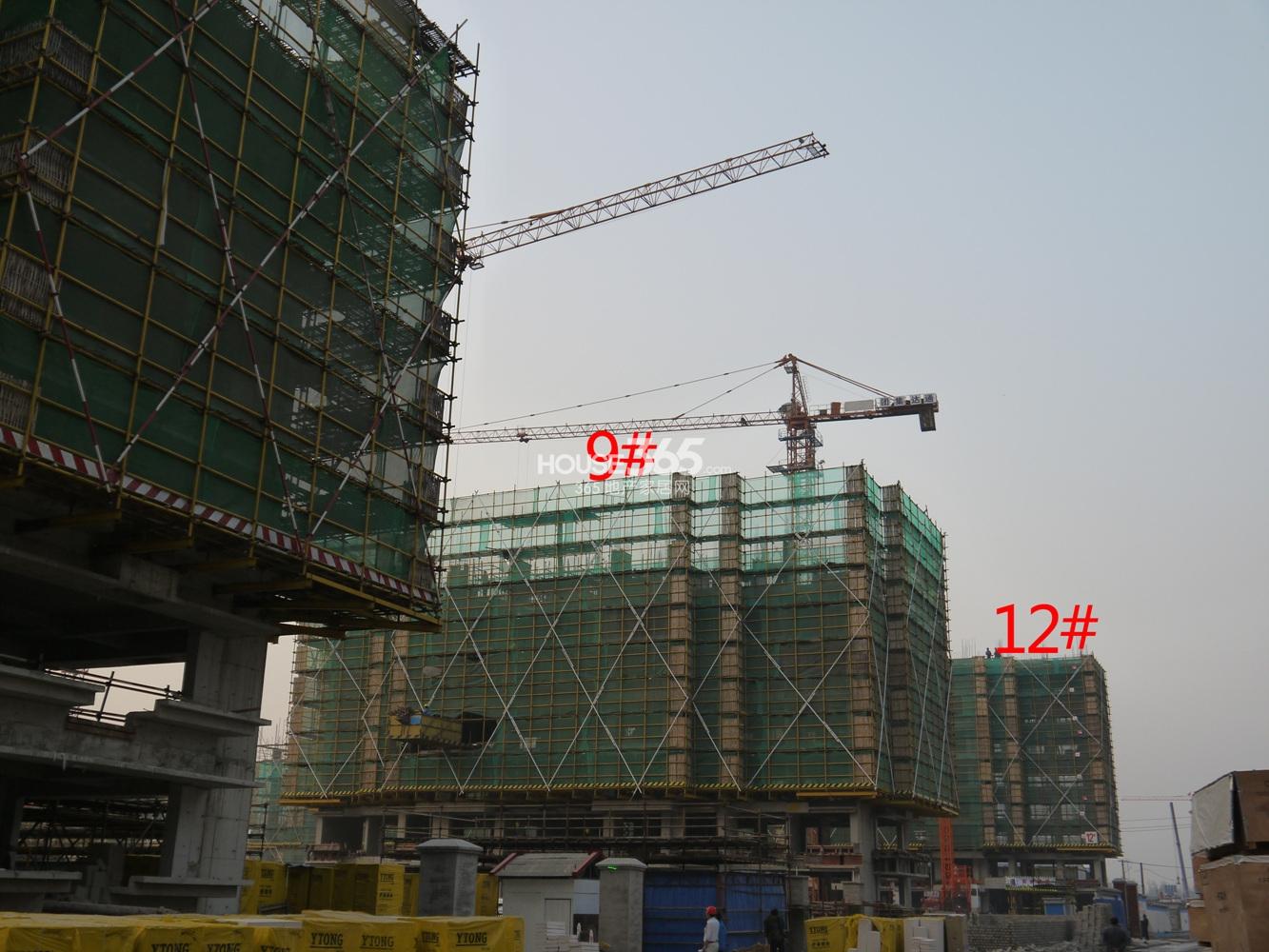 万科紫台9、12号楼实景图 2013.11.7摄