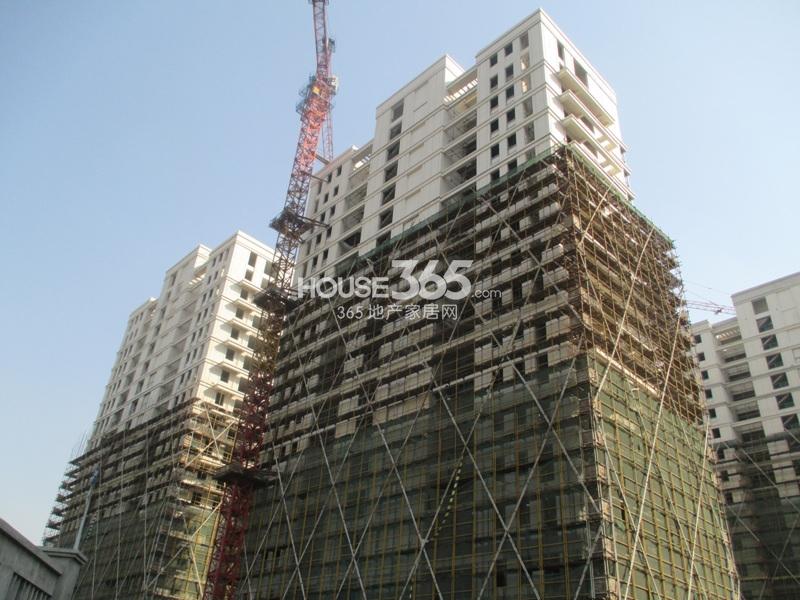 西溪海工程进度（2013.11）