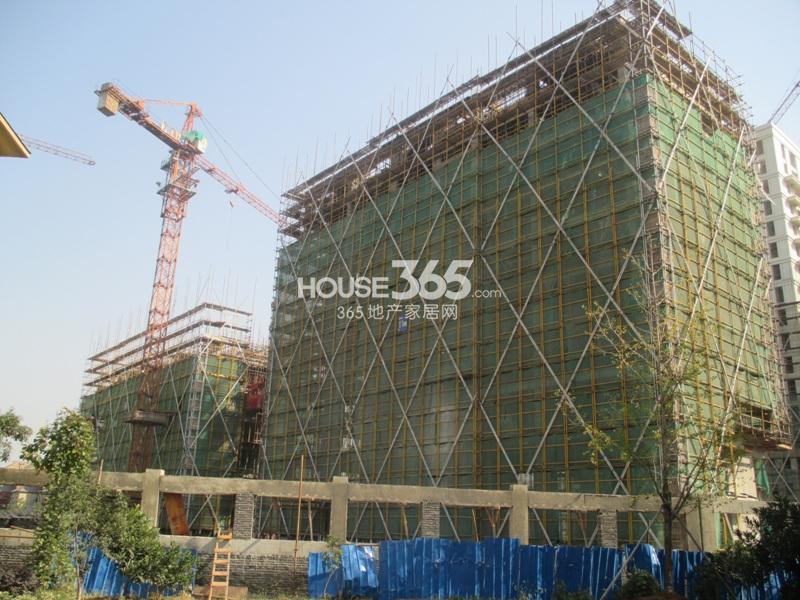 西溪海工程进度（2013.11）