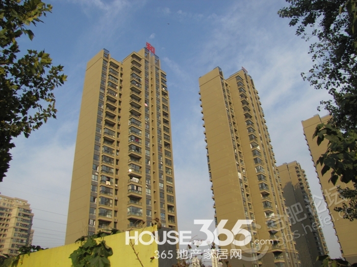 和一花园11月工程进度（2013.11.13）
