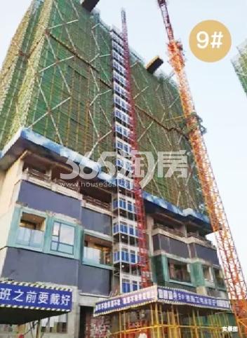 2019年8月滨江金地御品9号楼实景