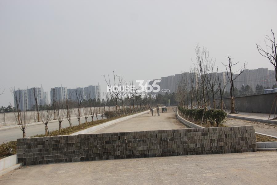卓越长睦周边规划道路实景图 2014.3.11摄