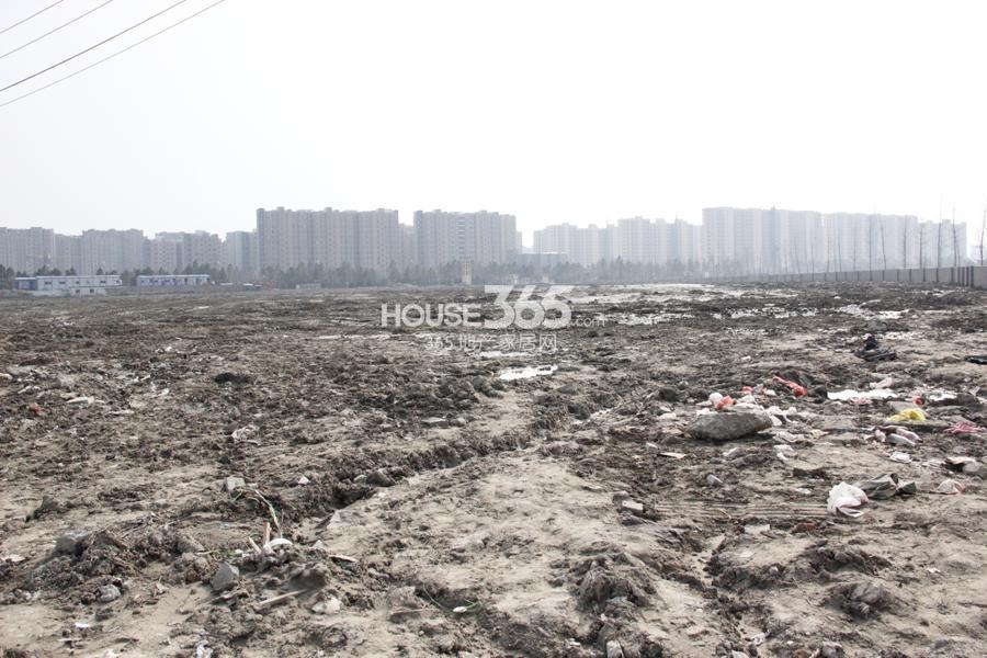 卓越长睦地块实景图 2014.3.11摄