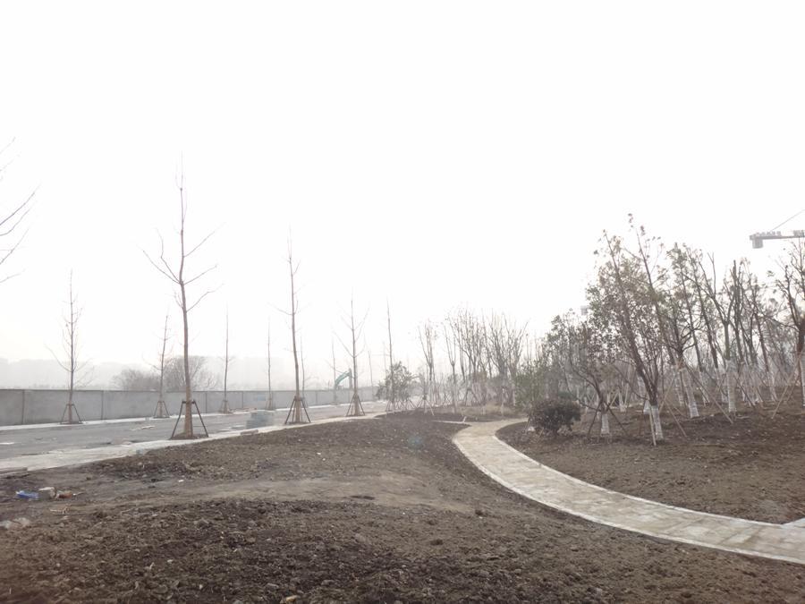 卓越长睦地块周边配套——在建的市政公园（2014.2.11摄） 