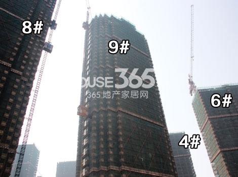 钱塘梧桐蓝山4、6、8、9号楼