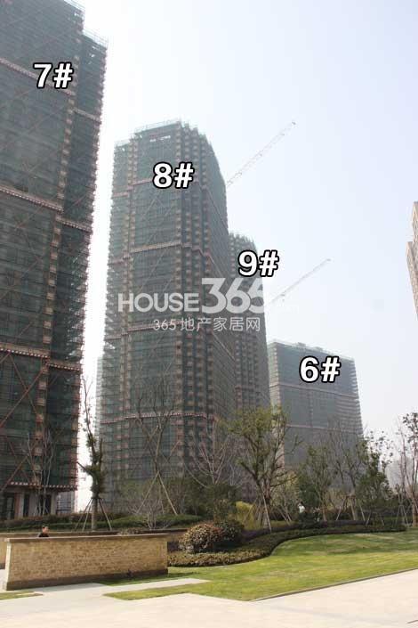 钱塘梧桐蓝山6、7、8、9号楼