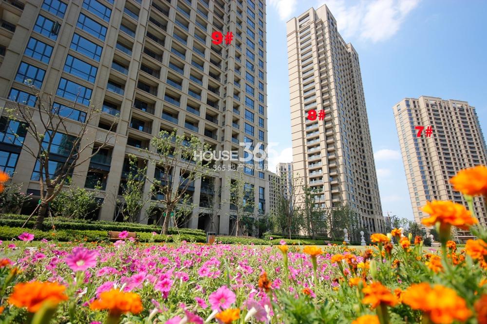 钱塘梧桐蓝山侧视实景图