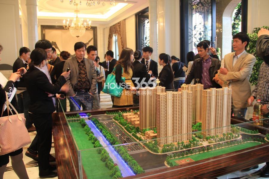 顺发恒园售楼处开放当天购房者们在看沙盘 2014.4.12摄 