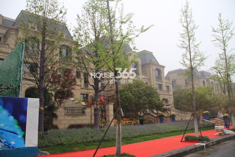 顺发恒园别墅实景图 2014.4.12摄 